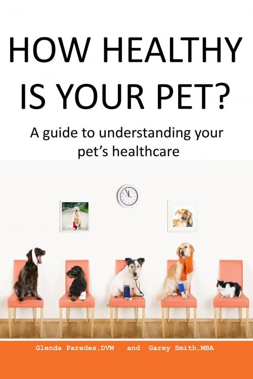 Cover of the book How Healthy Is Your Pet? by Glenda Paredes DVM, Garey Smith MBA, BookBaby
