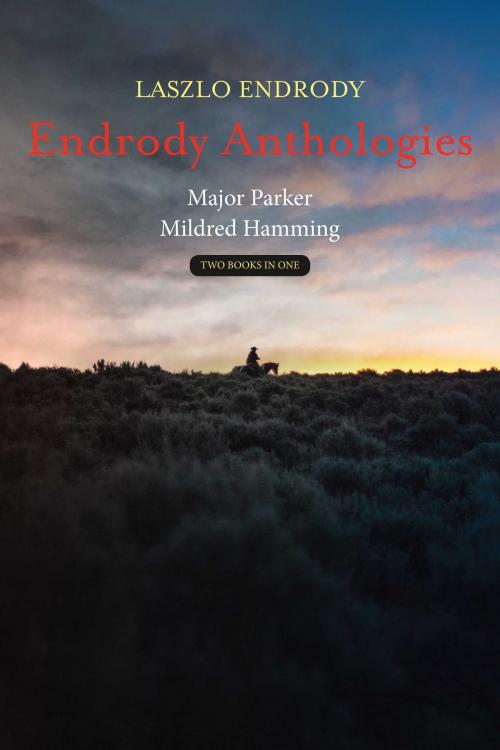 Cover of the book Endrody Anthologies by Laszlo Endrody, BookBaby