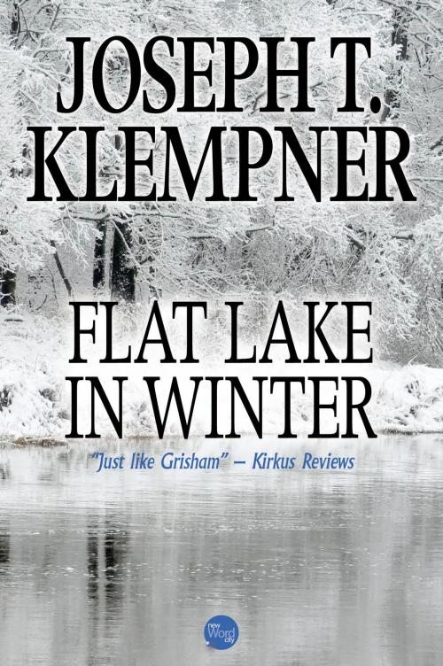 Cover of the book Flat Lake in Winter by Joseph T. Klempner, New Word City, Inc.