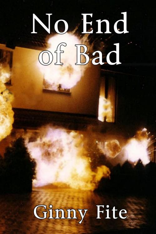 Cover of the book No End of Bad by Ginny Fite, Black Opal Books