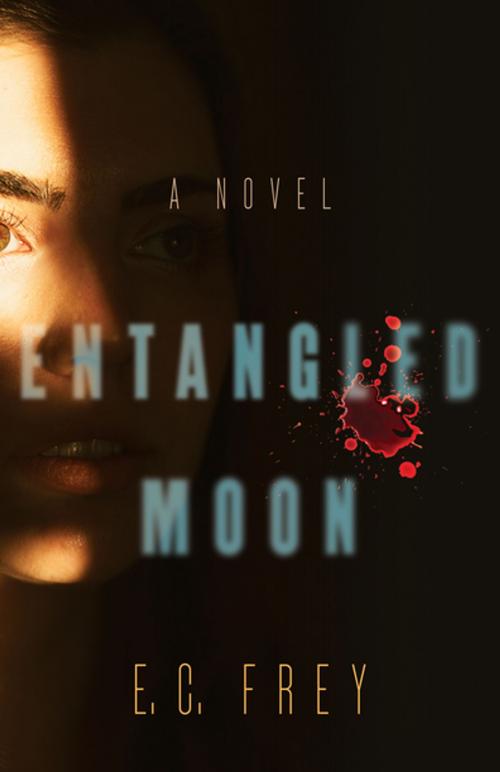 Cover of the book Entangled Moon by E.C. Frey, She Writes Press