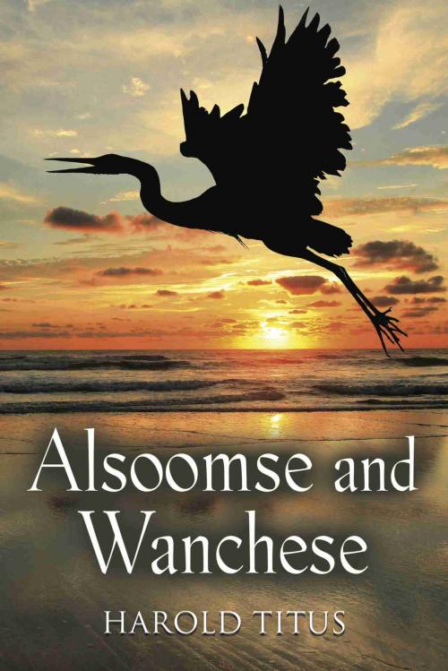 Cover of the book Alsoomse and Wanchese by Harold Titus, BookLocker.com, Inc.