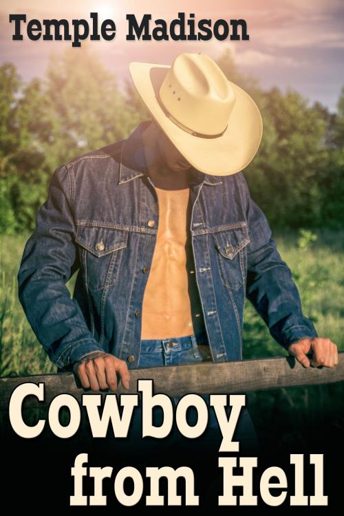 Cover of the book Cowboy from Hell by Temple Madison, JMS Books LLC