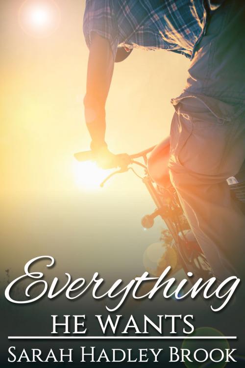 Cover of the book Everything He Wants by Sarah Hadley Brook, JMS Books LLC