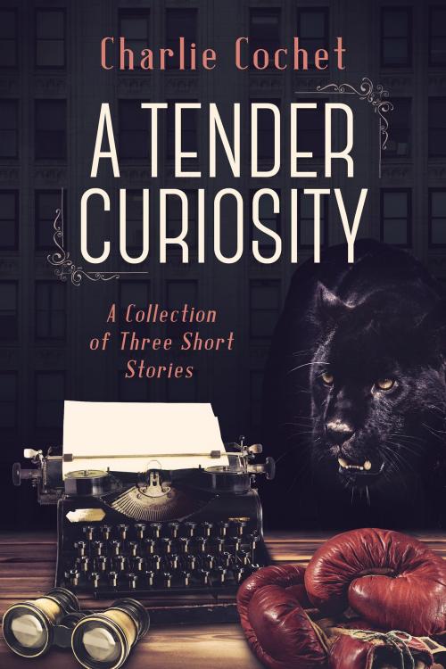 Cover of the book A Tender Curiosity by Charlie Cochet, Dreamspinner Press