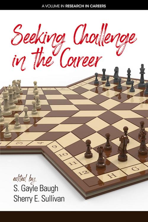 Cover of the book Seeking Challenge in the Career by , Information Age Publishing