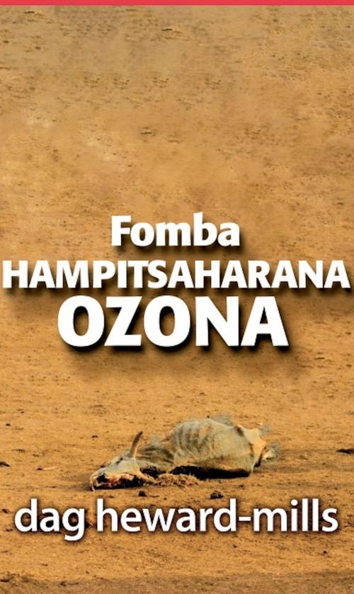 Cover of the book Fomba Hampitsaharana Ozona by Dag Heward-Mills, Dag Heward-Mills