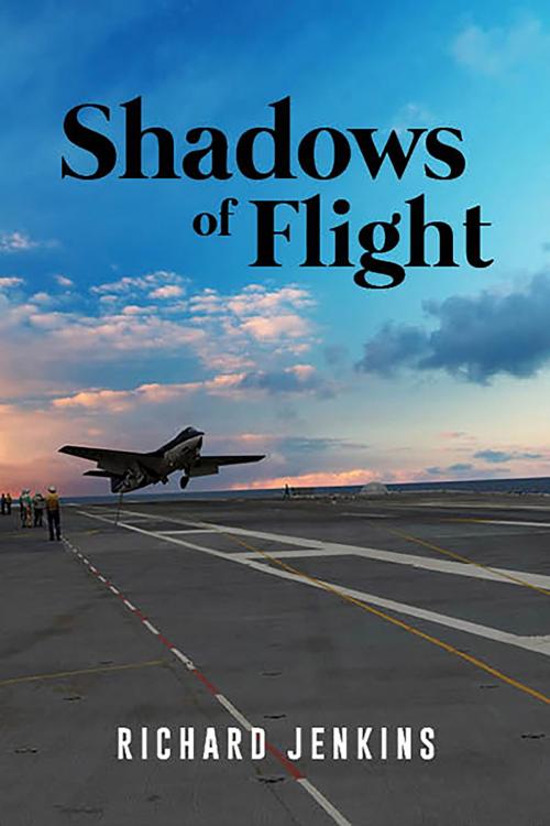 Cover of the book Shadows Of Flight by Richard Jenkins, BookVenture Publishing LLC