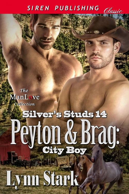 Cover of the book Peyton & Brag: City Boy by Lynn Stark, Siren-BookStrand