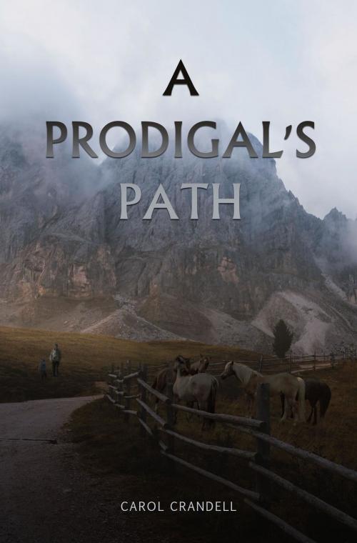 Cover of the book A Prodigal's Path by Carol Crandell, URLink Print & Media, LLC