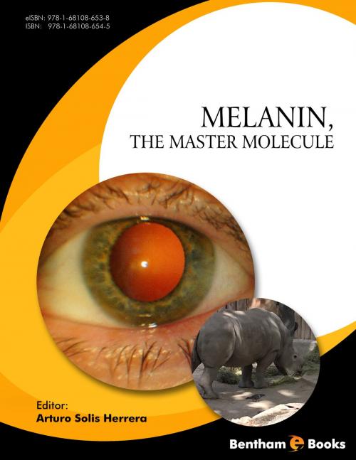 Cover of the book Melanin, the Master Molecule by Arturo Solís Herrera, Bentham Science Publishers