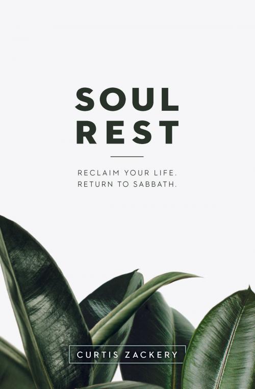 Cover of the book Soul Rest by Curtis Zackery, Lexham Press