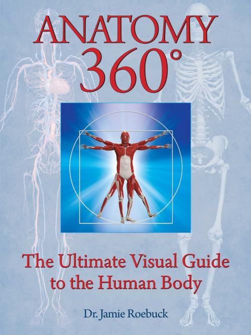 Cover of the book Anatomy 360 by Dr. Jamie Roebuck, Thunder Bay Press