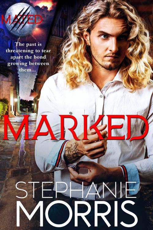 Cover of the book Marked by Stephanie Morris, Carnal Imprint Publishing