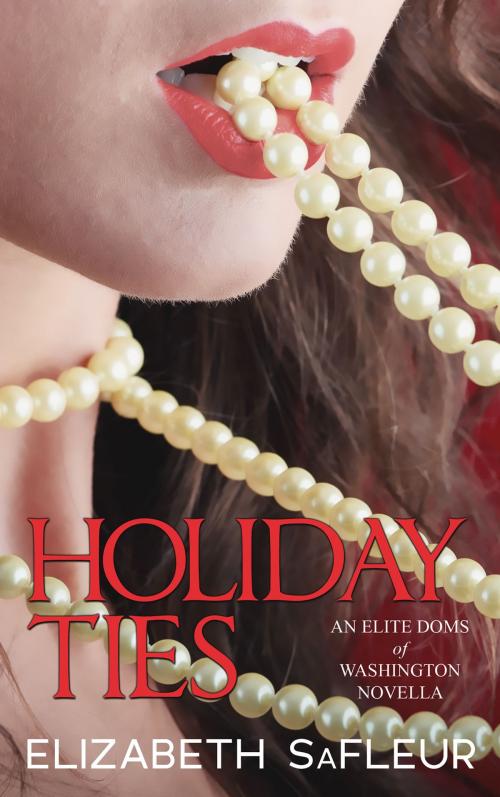 Cover of the book Holiday Ties by Elizabeth SaFleur, Elizabeth SaFleur LLC