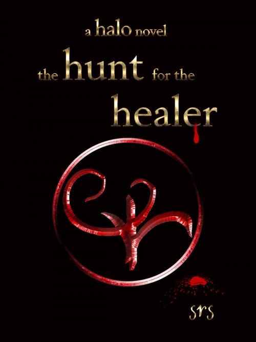 Cover of the book the hunt for the healer by suzanne seidel, srs