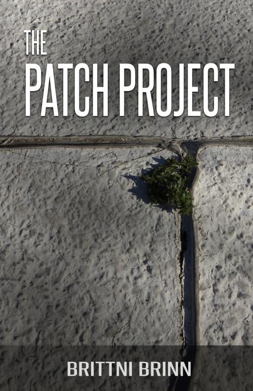 Cover of the book The Patch Project by Brittni Brinn, EDGE-Lite