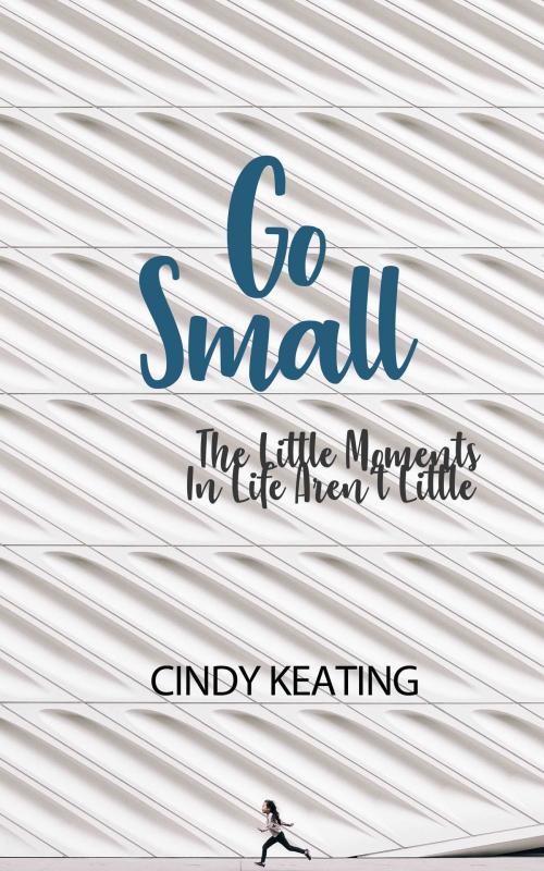 Cover of the book Go Small by Cindy Keating, Four G Press