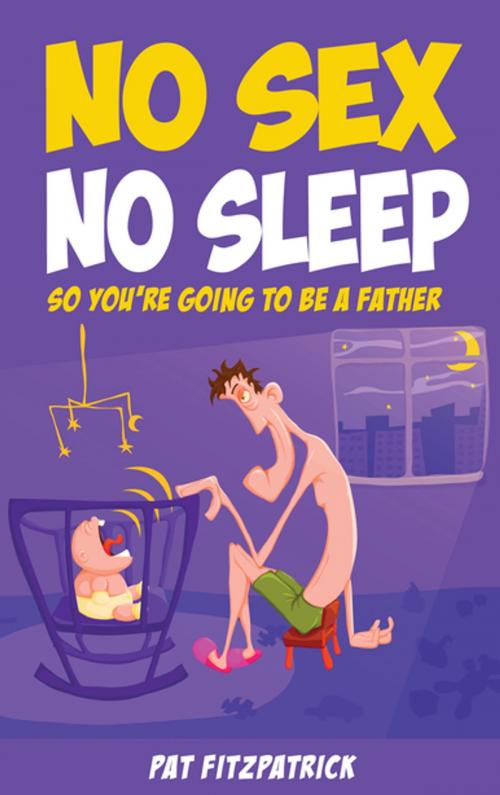 Cover of the book No Sex, No Sleep : by Mr Pat Fitzpatrick, Mercier Press
