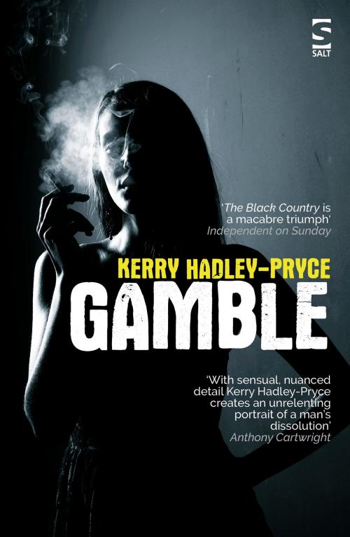 Cover of the book Gamble by Kerry Hadley-Pryce, Salt Publishing Limited
