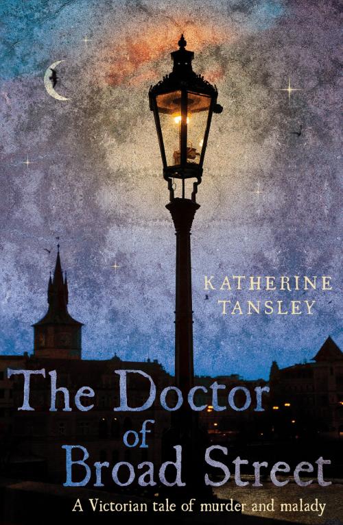 Cover of the book The Doctor of Broad Street by Katherine Tansley, Troubador Publishing Ltd