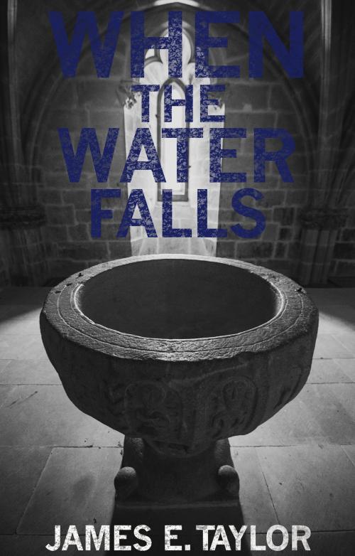 Cover of the book When the Water Falls by James E. Taylor, Troubador Publishing Ltd