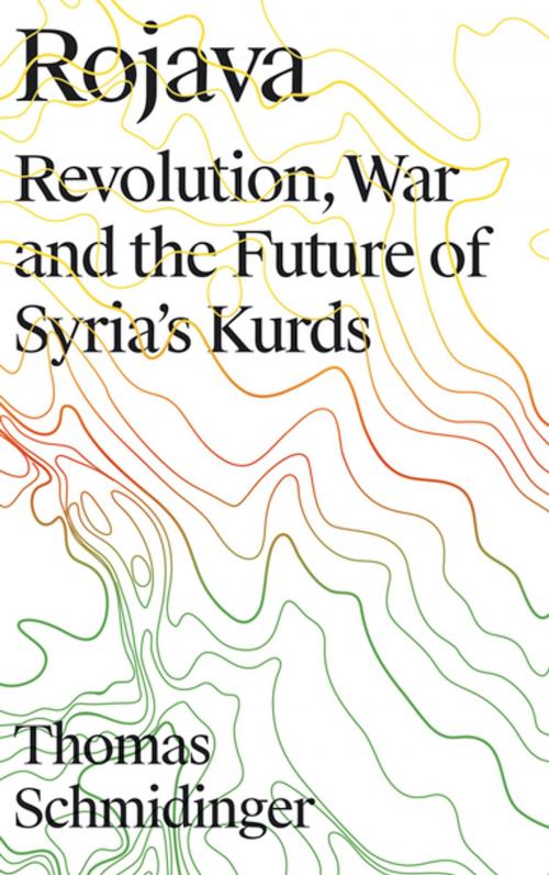 Cover of the book Rojava by Thomas Schmidinger, Pluto Press