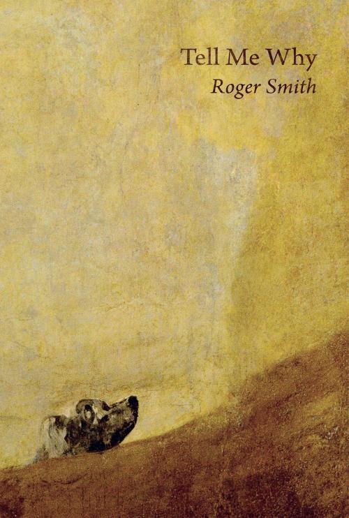 Cover of the book Tell Me Why by Roger Smith, Troubador Publishing Ltd