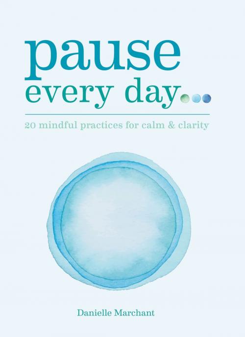 Cover of the book Pause Every Day by Danielle North, Octopus Books
