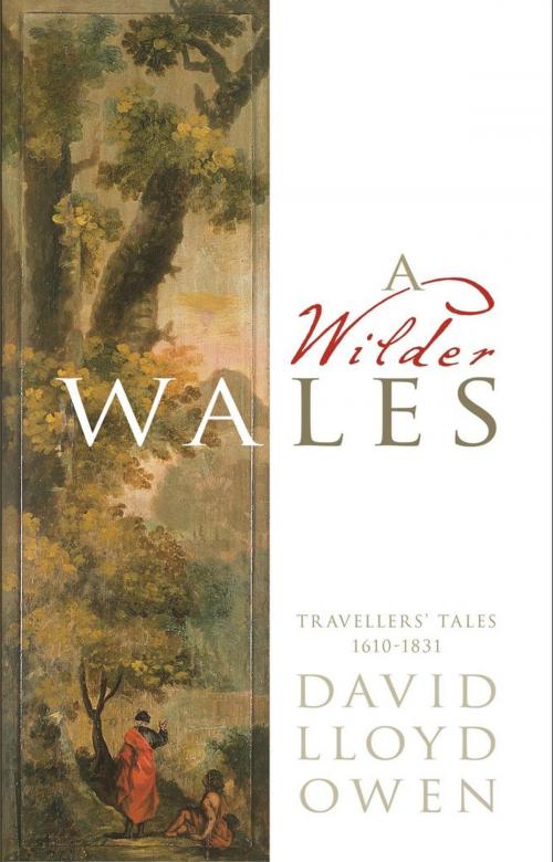 Cover of the book A Wilder Wales by David Lloyd Owen, Parthian Books