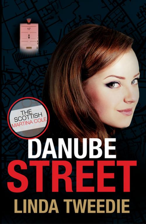 Cover of the book Danube Street by Linda Tweedie, Kate McGregor, Fledgling Press