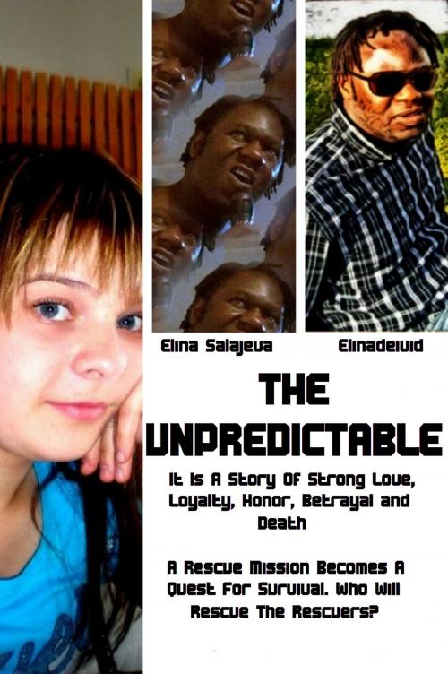 Cover of the book The Unpredictable by Elina Salajeva, Elinadeivid, Touchladybirdlucky Studios