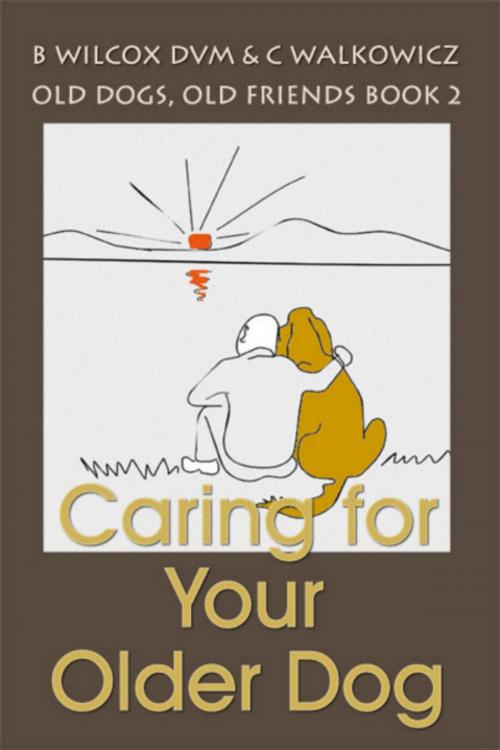 Cover of the book Caring for Your Older Dog by Chris Walkowicz, Bonnie Wilcox DVM, Puppy Care Education