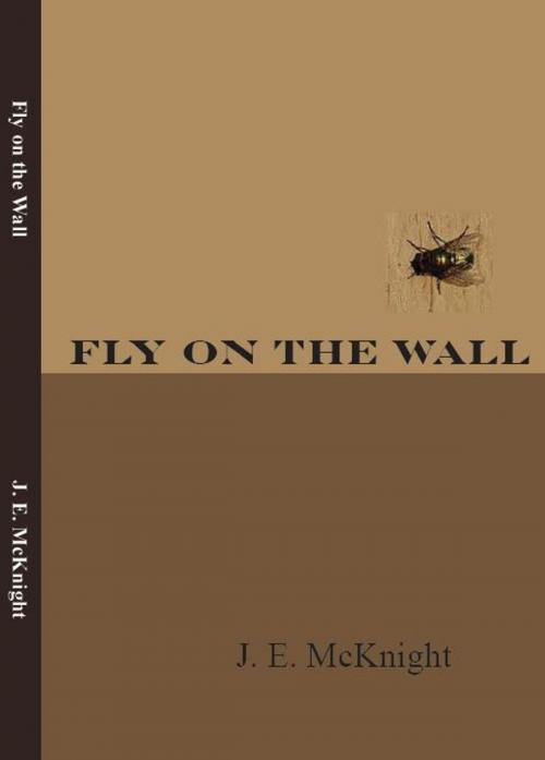 Cover of the book Fly on the Wall by J.E. McKnight, Dream Write Publishing
