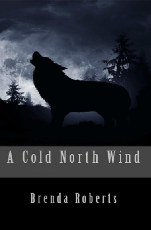 Cover of the book A Cold North Wind by Brenda Roberts, SynergEbooks