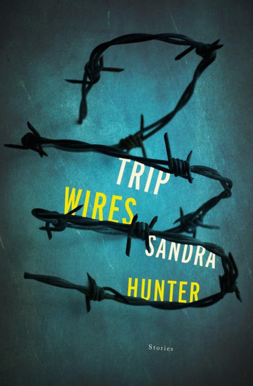 Cover of the book Trip Wires by Sandra Hunter, Leapfrog Press