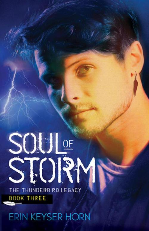 Cover of the book Soul of Storm by Erin Keyser Horn, Superstorm Productions