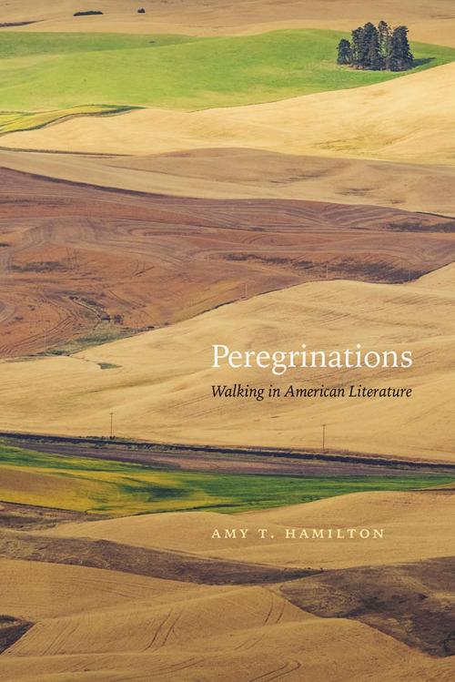 Cover of the book Peregrinations by Amy T Hamilton, University of Nevada Press