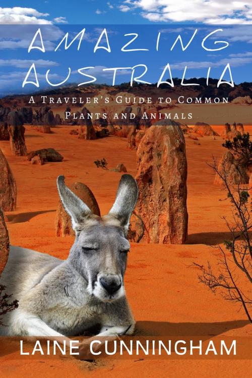Cover of the book Amazing Australia by Laine Cunningham, Sun Dogs Creations