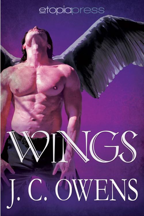 Cover of the book Wings by J. C. Owens, Etopia Press