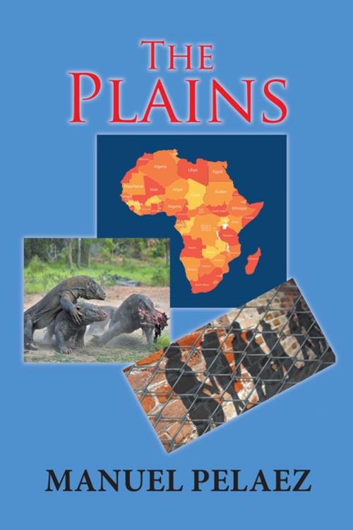 Cover of the book The Plains by Manuel Pelaez, Xlibris US