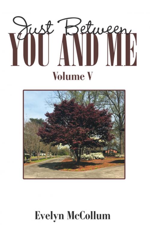 Cover of the book Just Between You and Me by Evelyn McCollum, Xlibris US