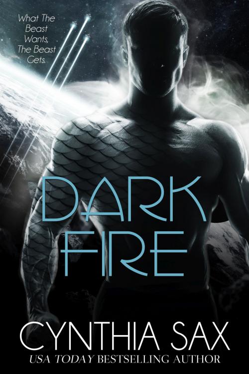 Cover of the book Dark Fire by Cynthia Sax, Cynthia Sax