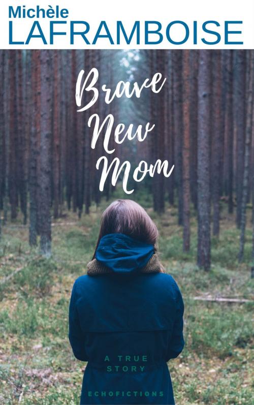 Cover of the book Brave New Mom by Michele Laframboise, Echofictions