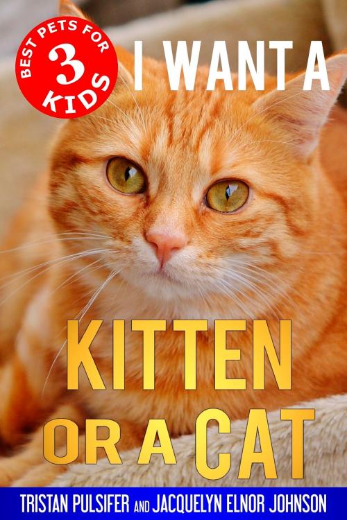 Cover of the book I Want A Kitten or a Cat by Tristan Pulsifer, Jacquelyn Elnor Johnson, Crimson Hill Books