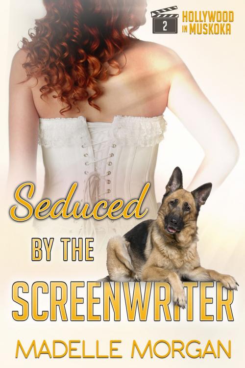 Cover of the book Seduced by the Screenwriter by Madelle Morgan, McBride Publishing Group