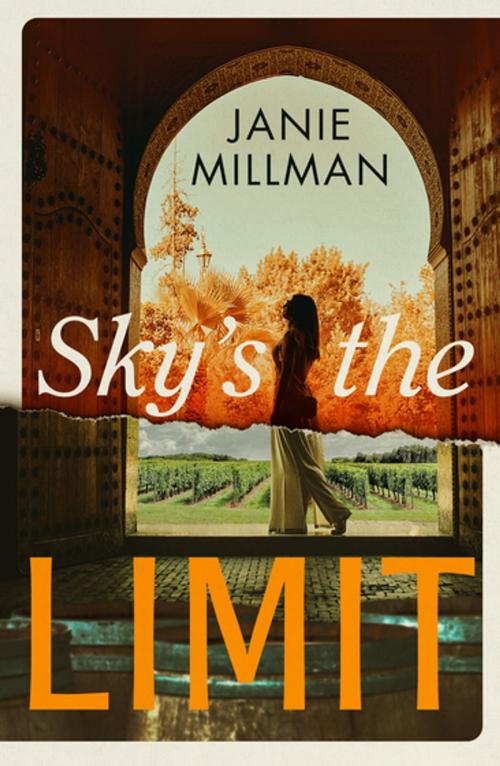 Cover of the book Sky's the Limit by Janie Millman, The Dome Press