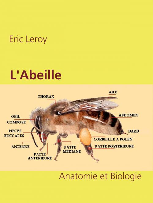 Cover of the book L'Abeille by Eric Leroy, Books on Demand