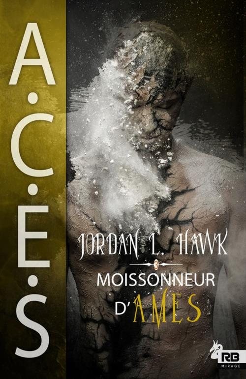 Cover of the book Moissonneur d'âmes by Jordan L. Hawk, Reines-Beaux
