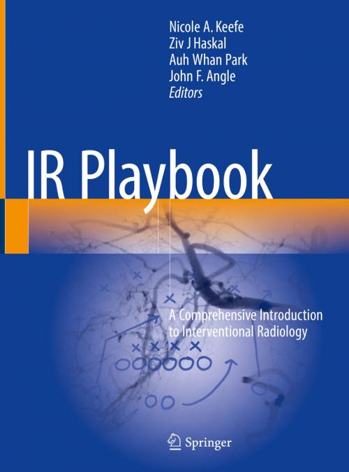 Cover of the book IR Playbook by , Springer International Publishing